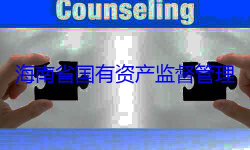有福接受审委副书记王资产监督管海南省国有理委员会党查调查