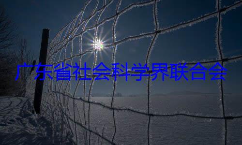 广东省社会专职副主席余鸿纯被会党组成员查科学界联合